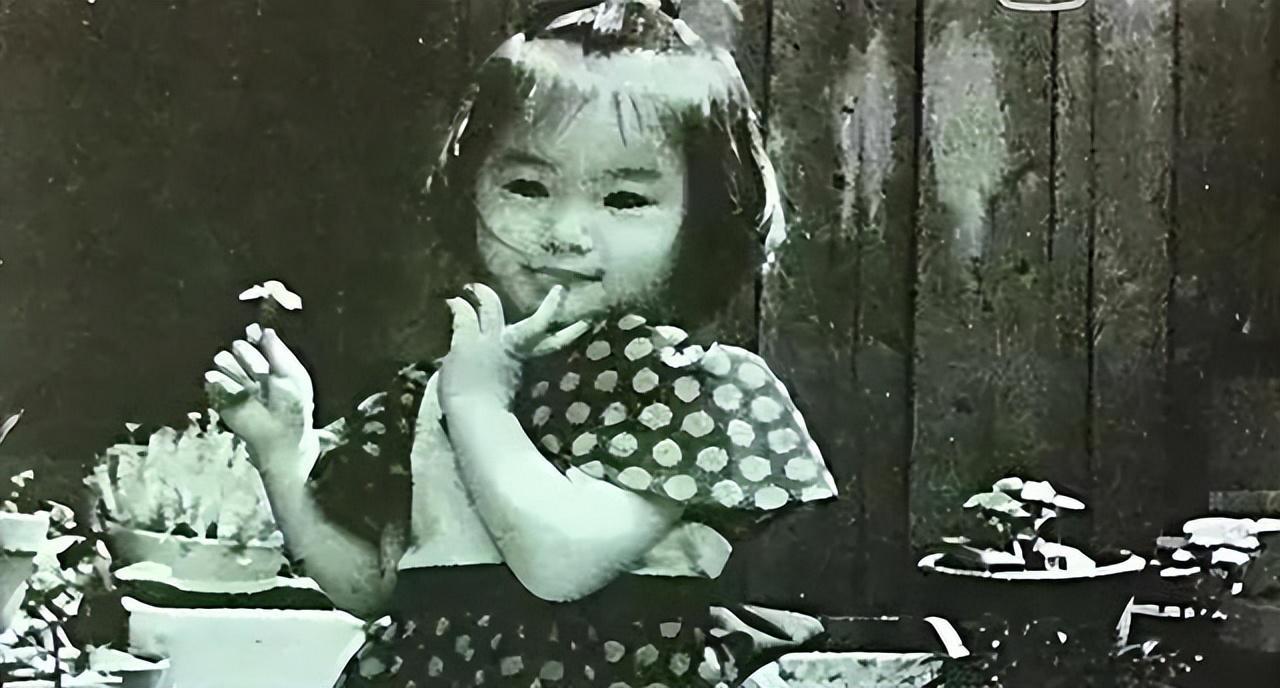 HTH.com-堕落的“清纯女星”酒井法子，这张腿间蝴蝶背后，隐藏着的故事