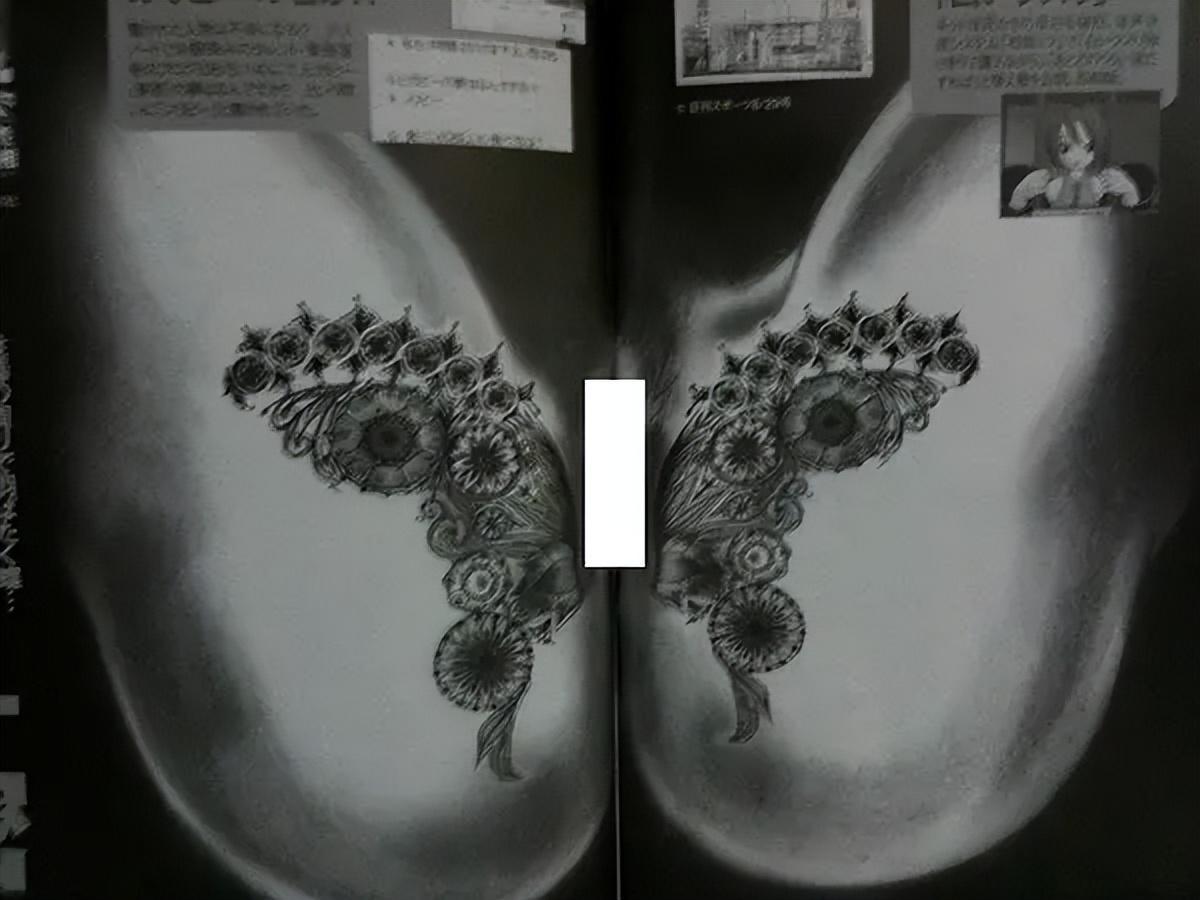 HTH.com-堕落的“清纯女星”酒井法子，这张腿间蝴蝶背后，隐藏着的故事